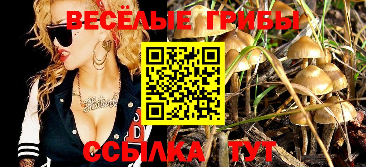 Череповец  Псилоцибиновые грибы ЛСД  Вход с VPN 