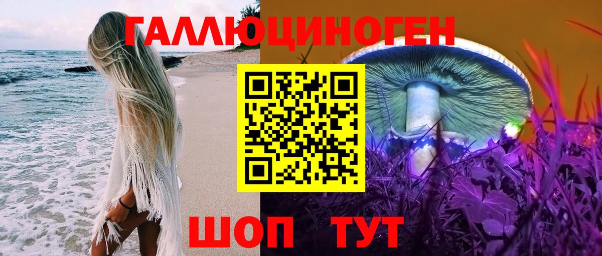 Галлюциногенные грибы Psilocybine cubensis Череповец